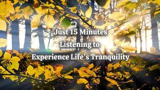 Feel in 15 Minutes: Deep Meditation for Inner Peace, Mental Relaxation, and Emotional Healing