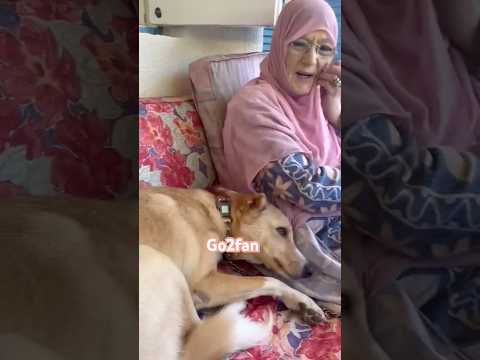 #جوو_2_فن / الفنانة المعتزلة #شمس_البارودي في أحدث ظهور داخل منزلها
