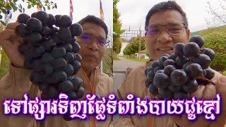ទៅផ្សារទិញផ្លែទំពាំងបាយជូខ្មៅ,Péry,Swiss🇨🇭