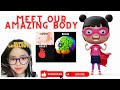 Understanding the Human Body Systems