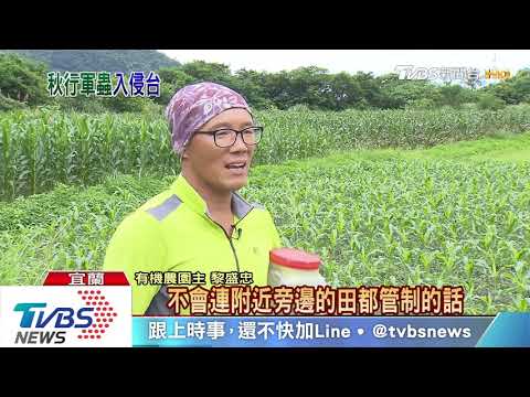 【十點不一樣】「秋行軍蟲」越爆越多！　全台僅剩三縣市未淪陷 - YouTube(3分42秒)