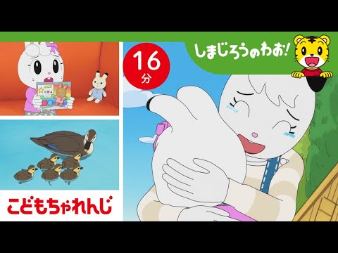 【16分アニメ】ママとけんかしちゃった…！？ | 仲直り・家族愛 | しまじろうのわお！アニメ | しまじろうチャンネル公式