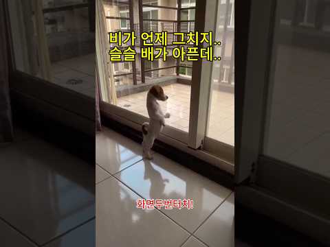 비가 언제 그치지.. 슬슬 배가 아픈데..