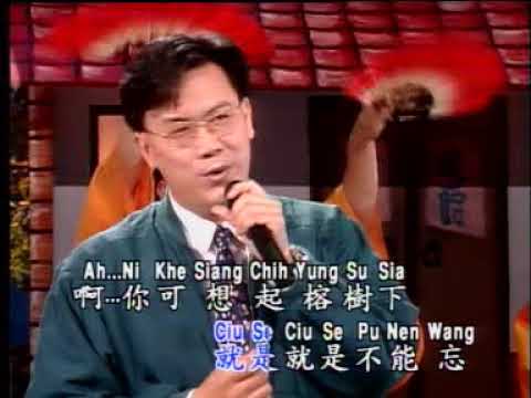 莊學忠 榕樹下