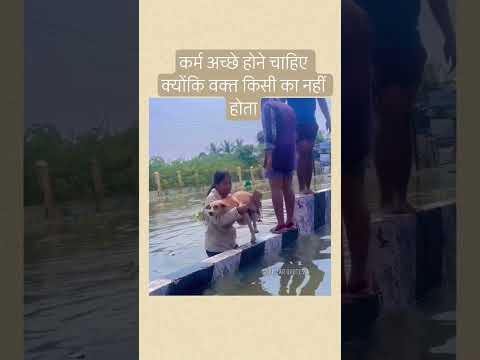 help every animals 🙏#care #love #motivation#dog #doglove #premanandjimaharaj #help #shorts