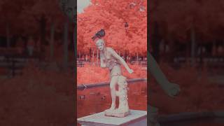 Testing Infrared Camera in PARIS