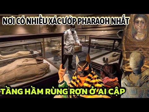 ĐỘT NHẬP HẦM CHỨA XÁC ƯỚP HOÀNG GIA AI CẬP & NHỮNG BÍ ẨN RỢN NGƯỜI