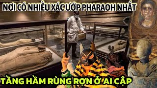 ĐỘT NHẬP HẦM CHỨA XÁC ƯỚP HOÀNG GIA AI CẬP & NHỮNG BÍ ẨN RỢN NGƯỜI