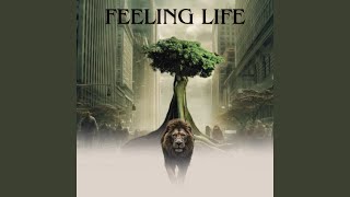 Feeling Life