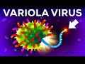 Understanding Smallpox and Its Eradication