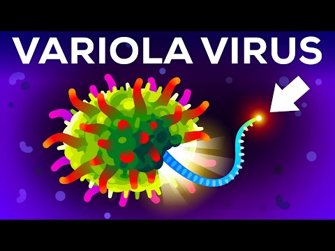 The (Second) Deadliest Virus