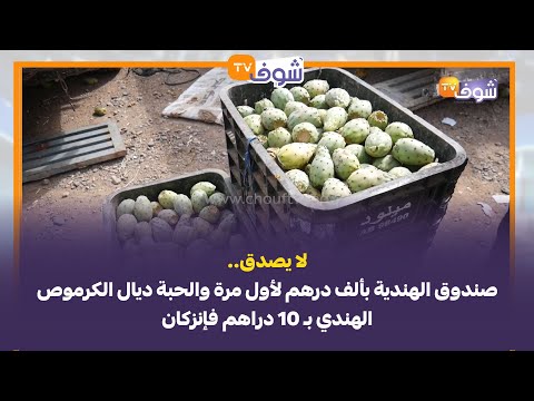 لا يصدق.. صندوق الهندية بألف درهم لأول مرة والحبة ديال الكرموص الهندي بـ 10 دراهم فإنزكان