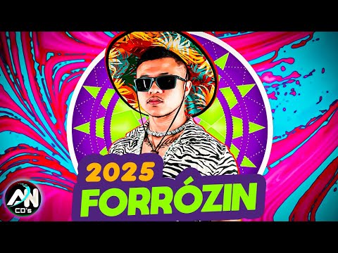 O REI DO FORRÓZIN - CD COMPLETO 2025 - ATUALIZADO PRA PAREDÃO - FORRÓZIN TIK TOK - RAMONZIN LAPADA