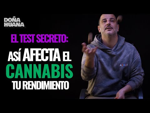 TEST FUMADO VS CARETA  - ASÍ AFECTA EL CANNABIS TU RENDIMIENTO