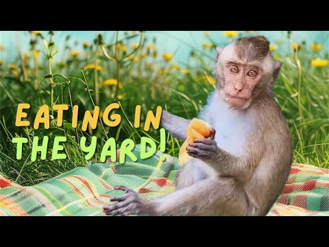 Enjoying Food in the Home Yard