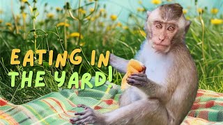 Enjoying Food in the Home Yard