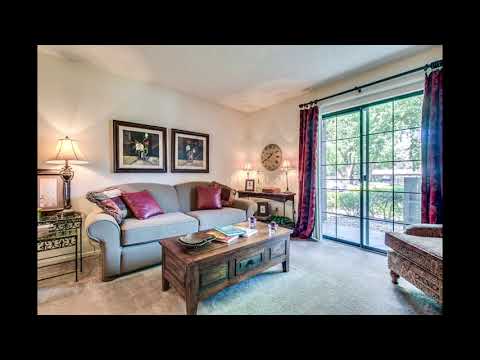 Apartment Video