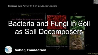Bacteria and Fungi in Soil as Soil Decomposers