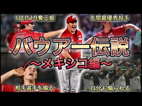 【プロ野球】あの男が帰ってくる‼︎ バウアーがメキシコで残したエピソード 7選