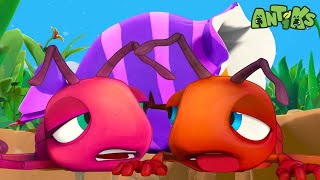 Come and Get Some Candy! 🍬🤪 | Funny Cartoons | Kids Videos | Antiks 🐜🌿