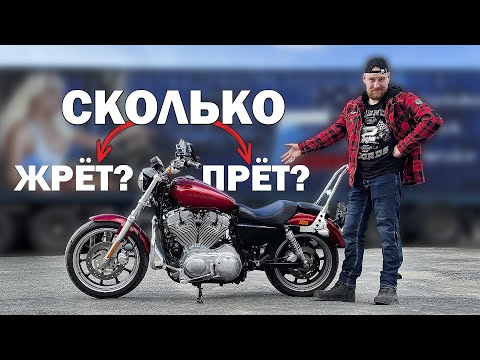 На что РЕАЛЬНО способен ХАРЛИ СПОРТСТЕР 883? Замерили разгон и расход соперника нашему УРАЛУ!