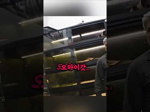 플로리다 보아뱀 논란, 왜 희생됐나?