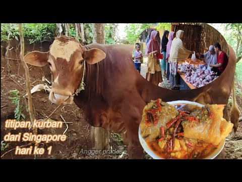 Gulai Mala kaki sapi //edisi spesial di Hari Raya Idul Adha titipan Kurban dari Singapore
