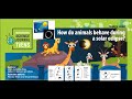 Animal Behavior During Solar Eclipses