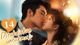 [Indo Sub] Ditakdirkan untukmu (Old Rare You) EP14 Gadis cantik incaran bos? | 命中注定稀罕你 | YoYo