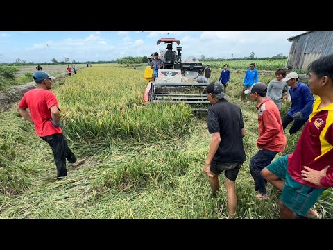Giao Lưu 3 Kênh YouTube Săn Bắt Chuột Con Nào Chạy Thoát | Hunting | - TT2165