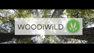 WOODiWiLD: Planting trees for wildlife, the environment and your school