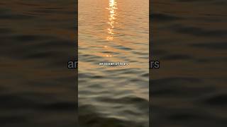 Where'd you go? Juliet, I'm still your Romeo ❤️ #music #singersongwriter