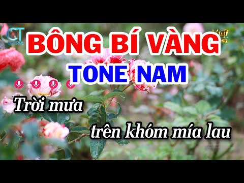 Karaoke Bông Bí Vàng Tone Nam ( Am ) Nhạc Sống Tuấn Kiệt