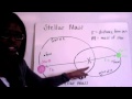 Kepler's Laws and Planetary Orbits
