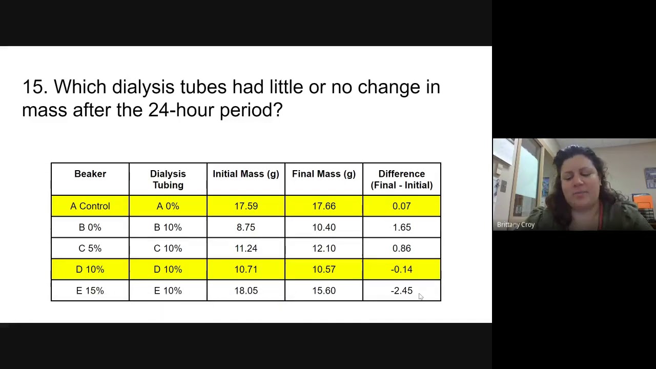 Virtual Homeostasis Lab: Exploring the Balance Within