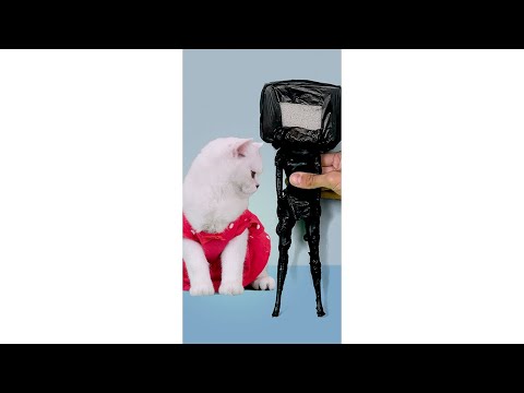TV Barbie VS Kitten? #shorts
