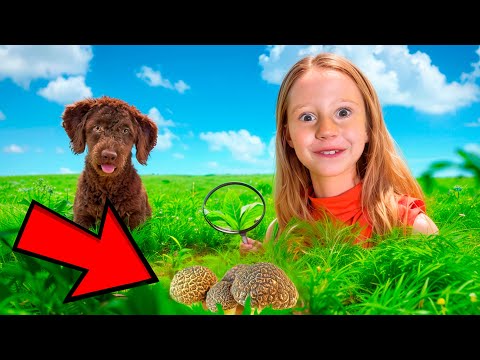 O que está escondido na grama? Aventura de Nastya na natureza