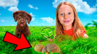 O que está escondido na grama? Aventura de Nastya na natureza