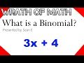 Understanding Polynomials and Binomials