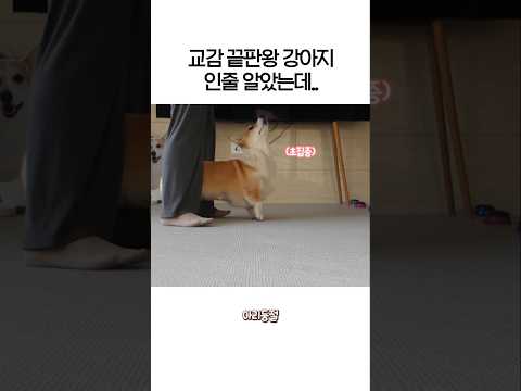 마지막에 반전있는 말 한마디..ㅋㅋㅋㅋ