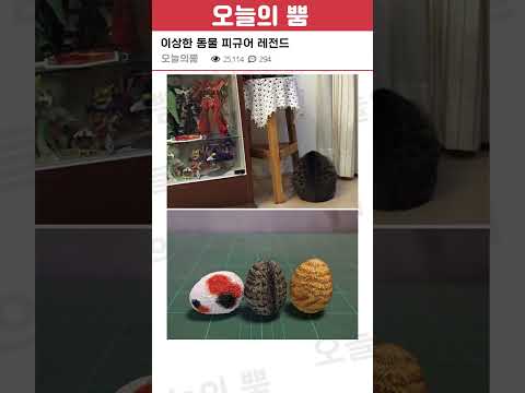 뭔가 이상한 동물 피규어 레전드