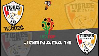 Tigritos de Álica vs Tigres de Álica || Jornada 14 || Grupo 15 || Liga TDP MX