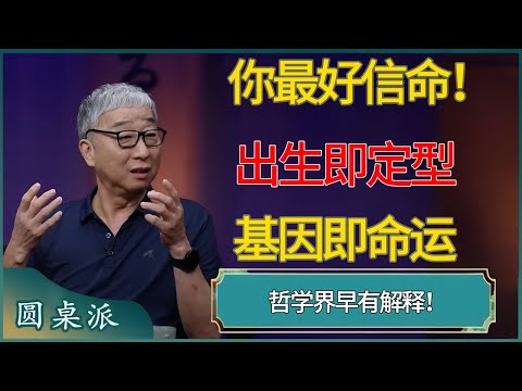 你最好信命！出生即定型，基因即命运，哲学界早有解释！#窦文涛 #梁文道 #马未都 #周轶君 #马家辉 #许子东 #圆桌派 #圆桌派第七季