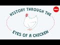 The Fascinating History of Chickens