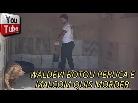 😱 WALDEVI VOLTOU DE PERUCA E O MALCOM QUIS MORDÊ-LO!