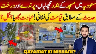 Birds and Trees in Mosque - Dammam Masjid Most Viral Video in Saudia | Nature Meets Spirituality