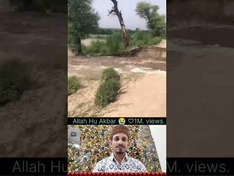 Allah Hu Akbar 🌙🕋🇵🇸👍👆 #muhammadﷺ #duet #allah #youtube #trending #islmicpost #shortsfeed 🌙🕋🥰❤️🇵🇸🥰