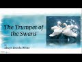 Themes and Characters in 'The Trumpet of the Swan'