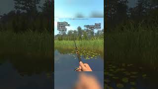 Trophy Grass Pike Caught in Russia! 🎣 | r. Pra Map | September Rated Fish #shorts #fisheronline