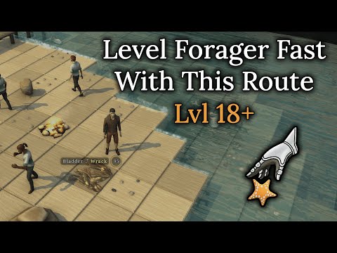 Level Forager Fast In Brighter Shores With This Route